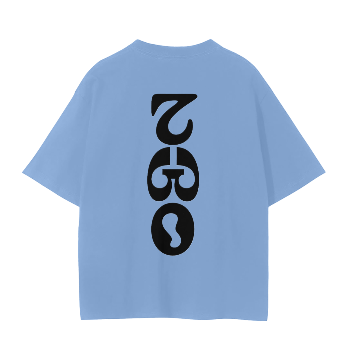 2 GRAPHIC TEE-II FACED