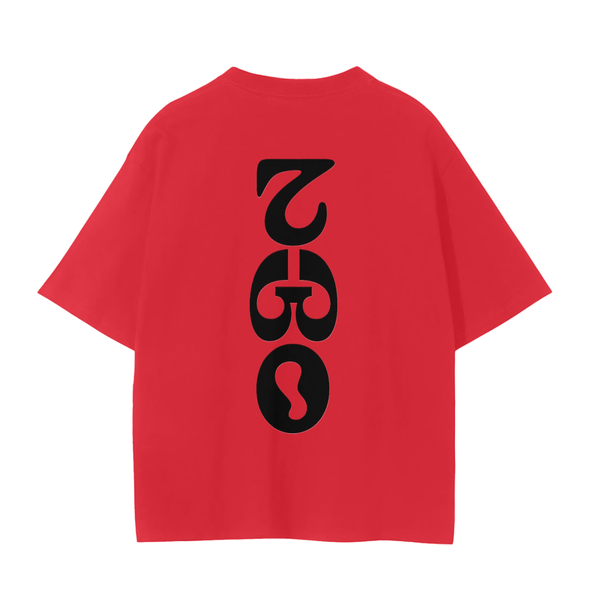 2 GRAPHIC TEE-II FACED